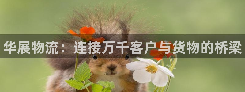 豪门国际注册链接教程：华展物流：连接
