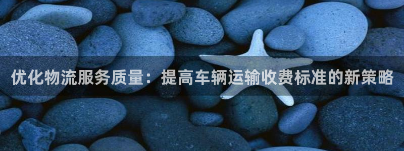豪门国际是啥：优化物流服务质量：提高
