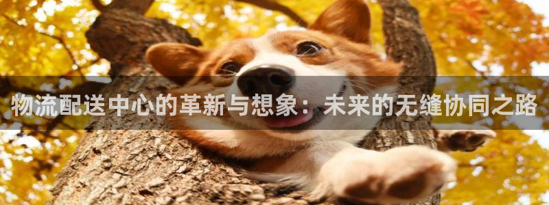 豪门国际是正规平台吗：物流配送中心的