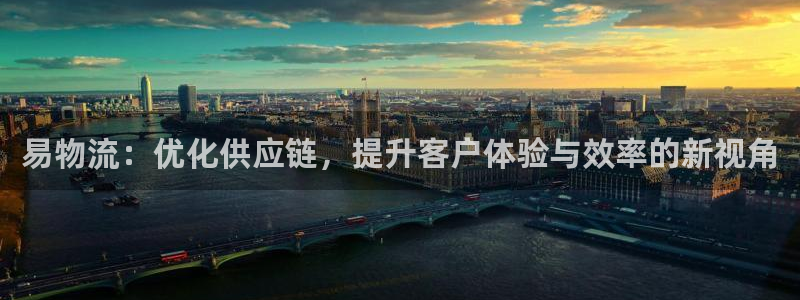 麻将1豪门国际：易物流：优化供应链，