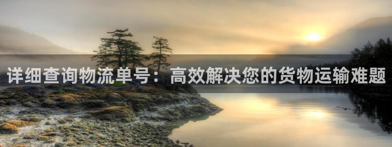 自行车豪门国际是什么意思