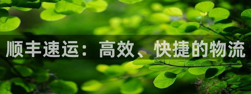 豪门国际加拿大怎么玩：顺丰速运：高效