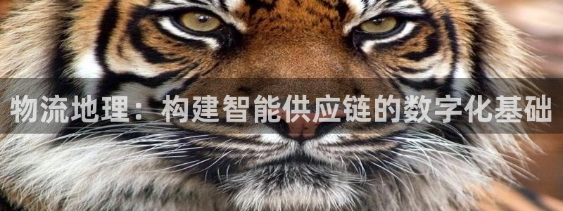 豪门国际注册登录链接流程：物流地理：