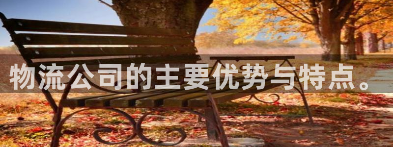 豪门国际官网网站：物流公司的主要优势
