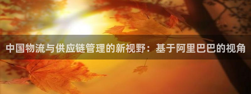 豪门国际技巧：中国物流与供应链管理的新视野：基于阿里巴巴的视