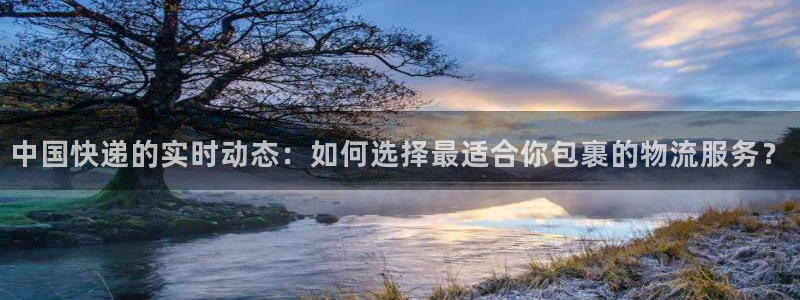 豪门国际二维码：中国快递的实时动态：如何选择最适合你包裹的物
