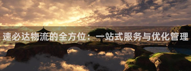 豪门国际注册登录链接流程：速必达物流