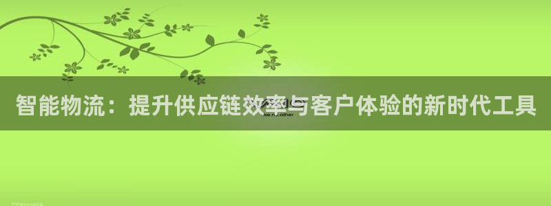 豪门国际网站平台：智能物流：提升供应