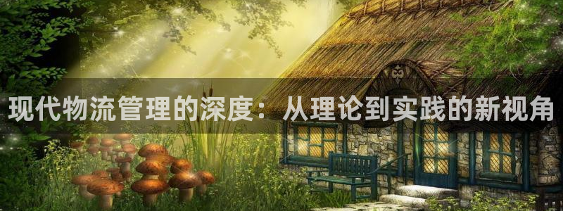 豪门国际官网版下载：现代物流管理的深