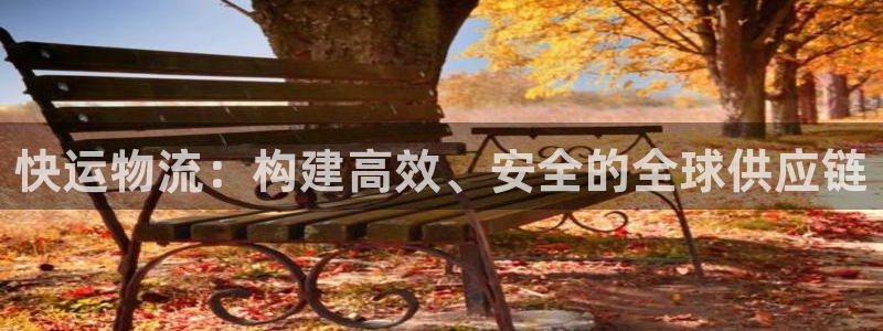 豪门国际下载链接是多少：快运物流：构建高效、安全的全球供应链