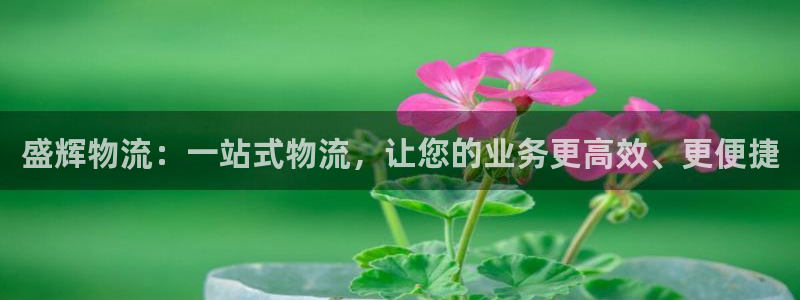 豪门国际网赌有什么风险：盛辉物流：一