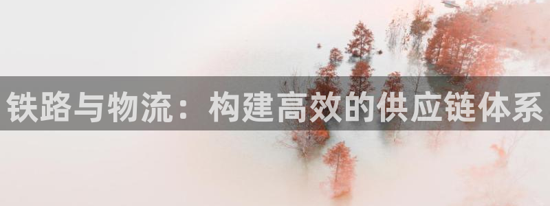 豪门国际充值不到账怎么回事：铁路与物流：构建高效的供应链体系