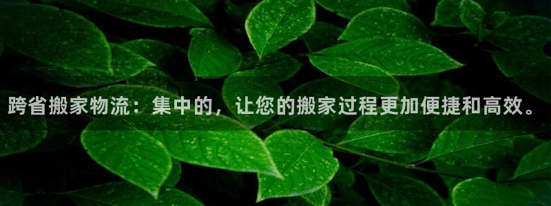 豪门国际怎么注册游戏名字：跨省搬家物流：集中的，让您的搬家过