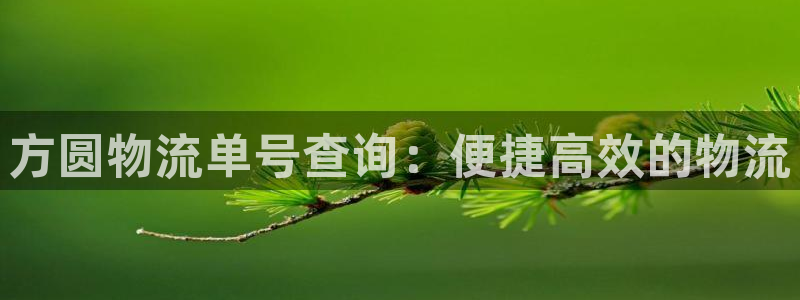 豪门国际官网下载链接是什么网站：方圆