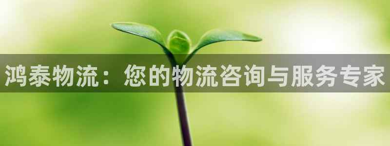 豪门国际网赌案件