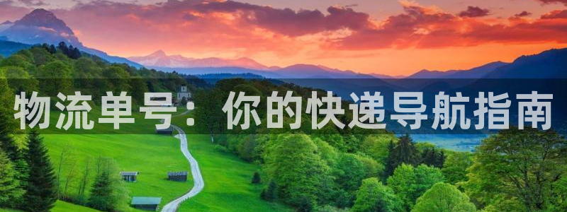 豪门国际加拿大是什么：物流单号：你的