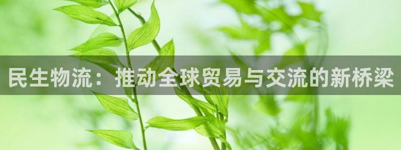 豪门国际加拿大下载：民生物流：推动全