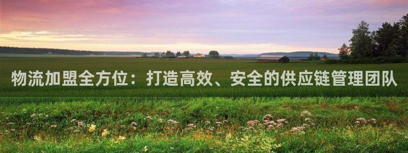 豪门国际链接是什么：物流加盟全方位：
